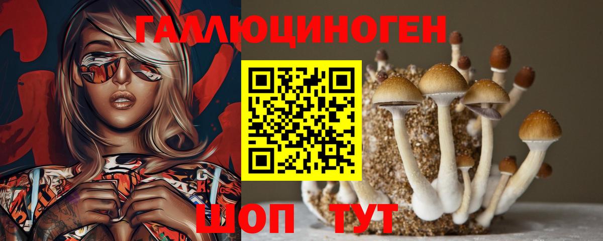 Галлюциногенные грибы прущие грибы  Вход с VPN  Галлюциногенные грибы Cubensis  Черняховск 